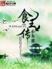 食王传免费阅读